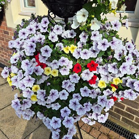 Dorset Arms Hotel Wallsend Zewnętrze zdjęcie