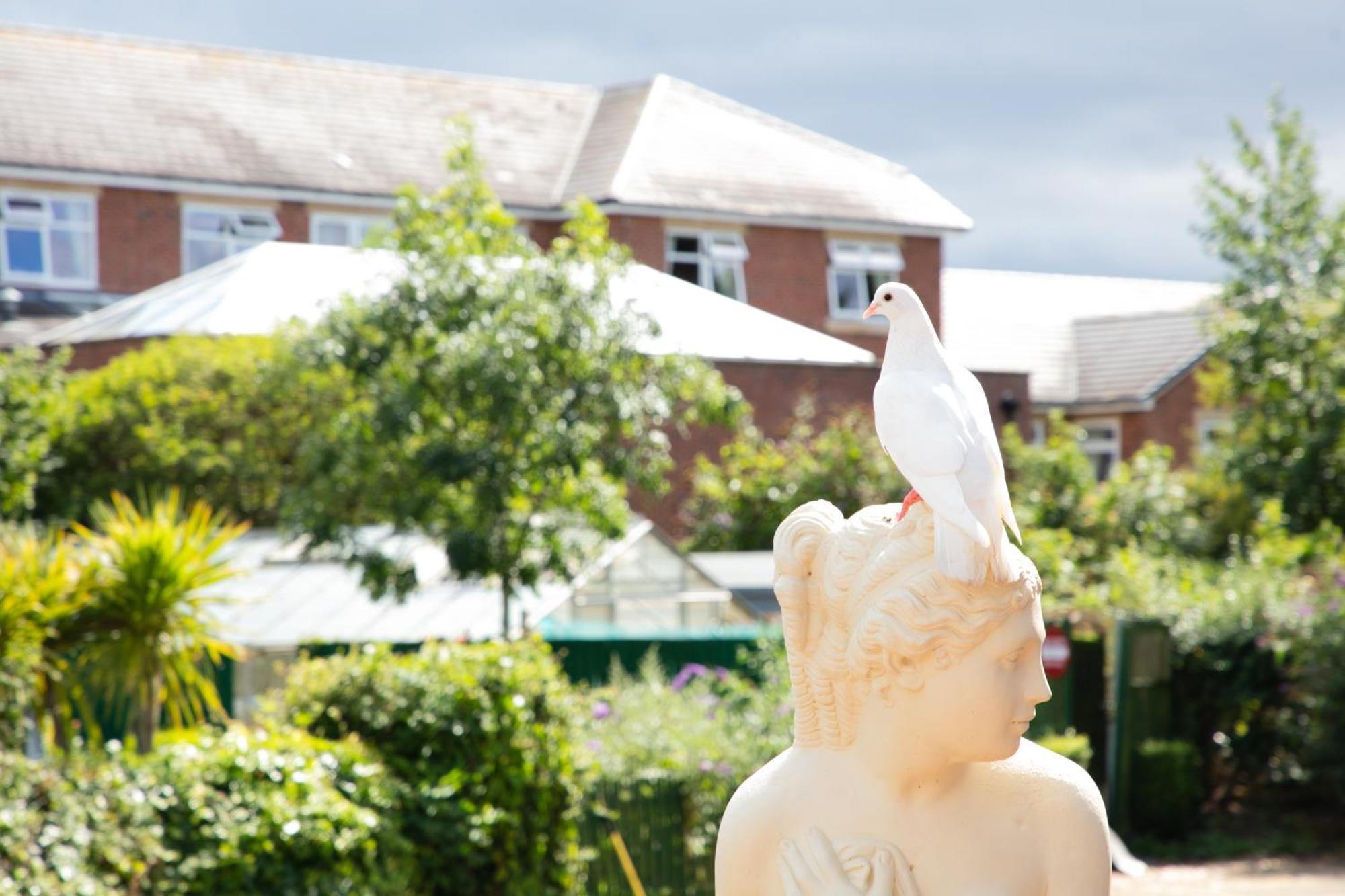 Dorset Arms Hotel Wallsend Zewnętrze zdjęcie