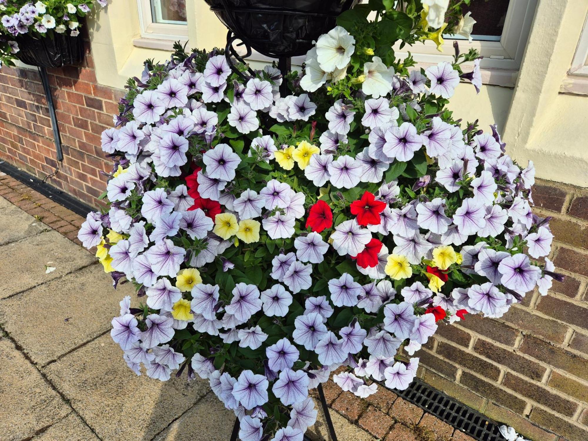 Dorset Arms Hotel Wallsend Zewnętrze zdjęcie