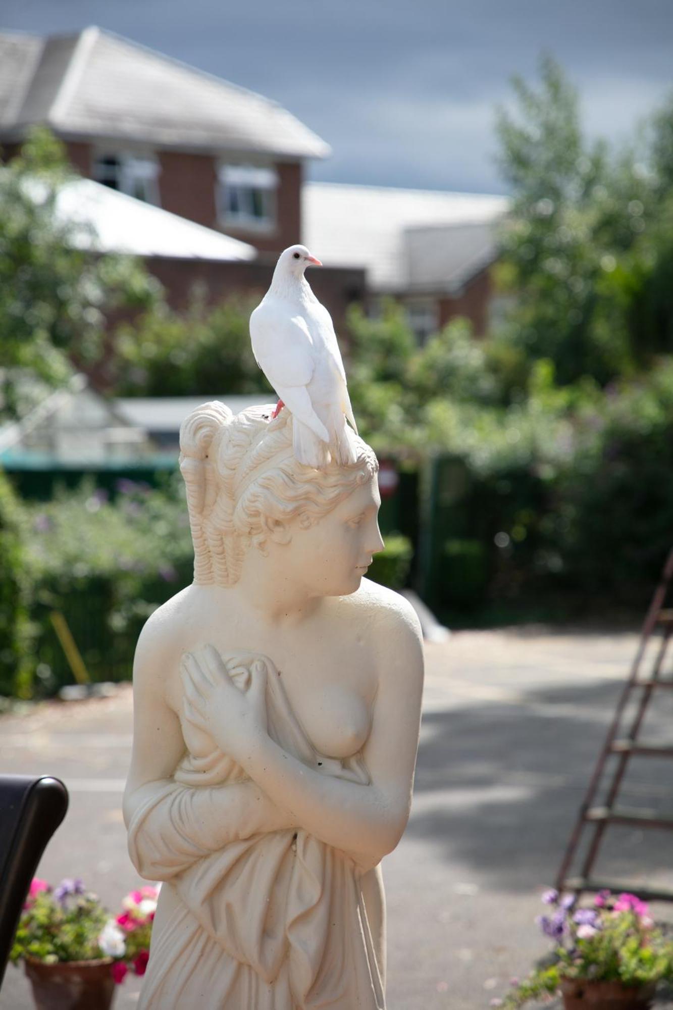 Dorset Arms Hotel Wallsend Zewnętrze zdjęcie