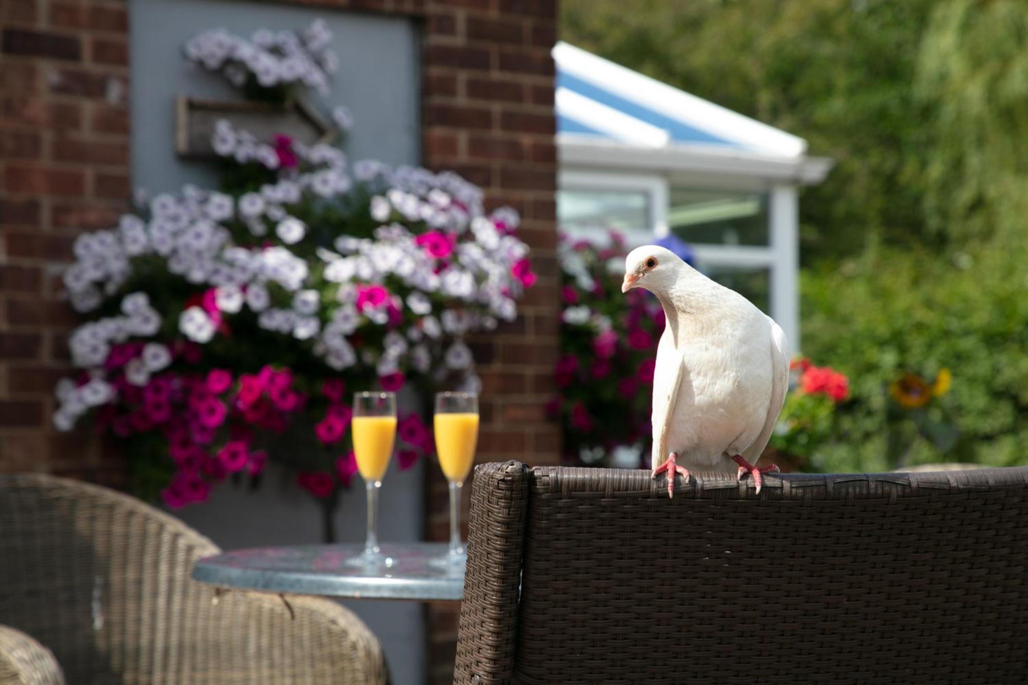 Dorset Arms Hotel Wallsend Zewnętrze zdjęcie